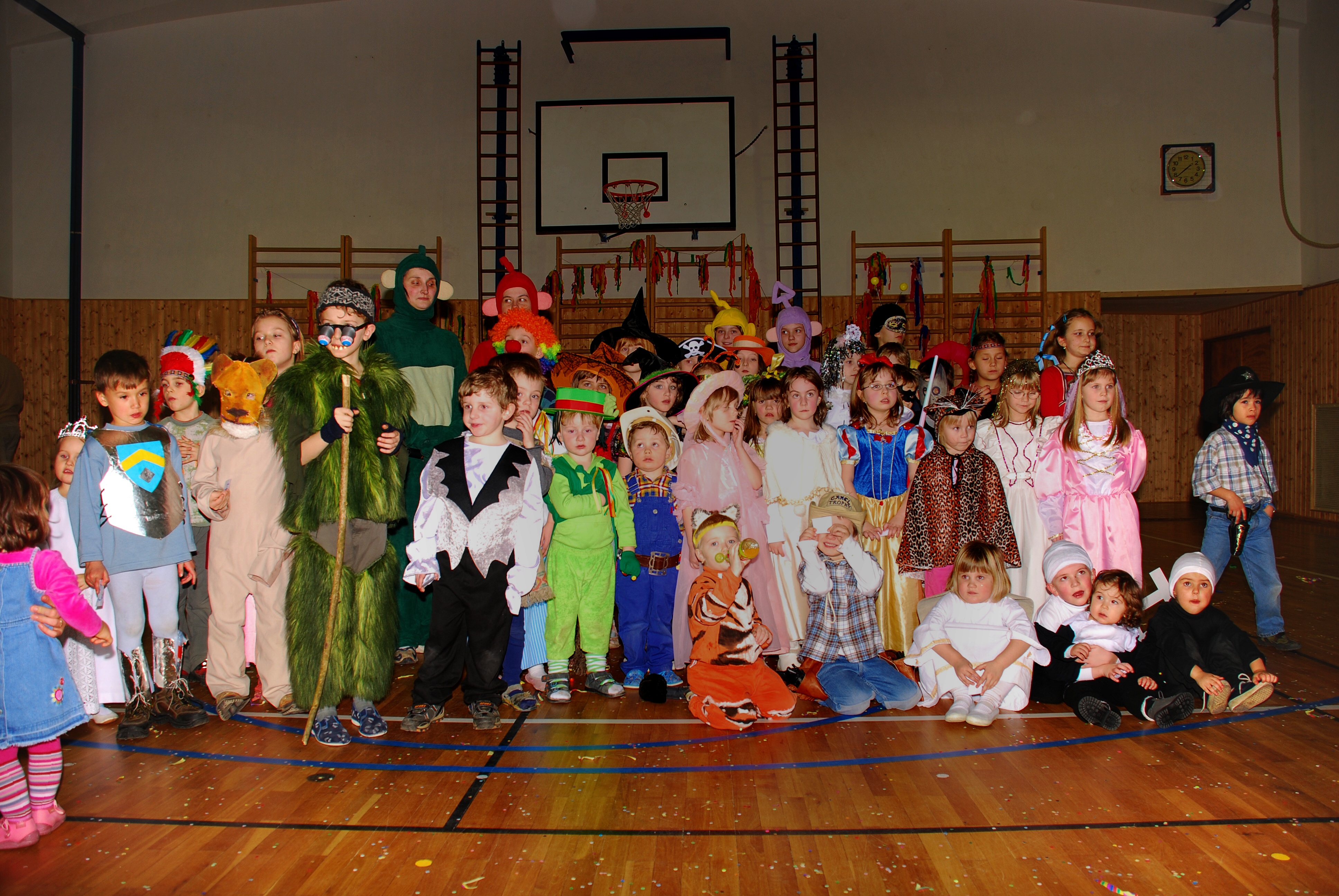 Sokolovna leden 2008 - karneval_6