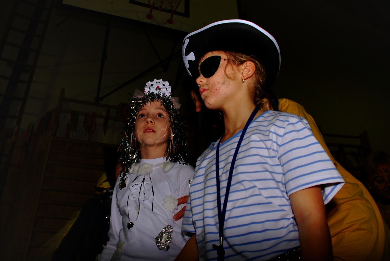 Sokolovna leden 2008 - karneval_7