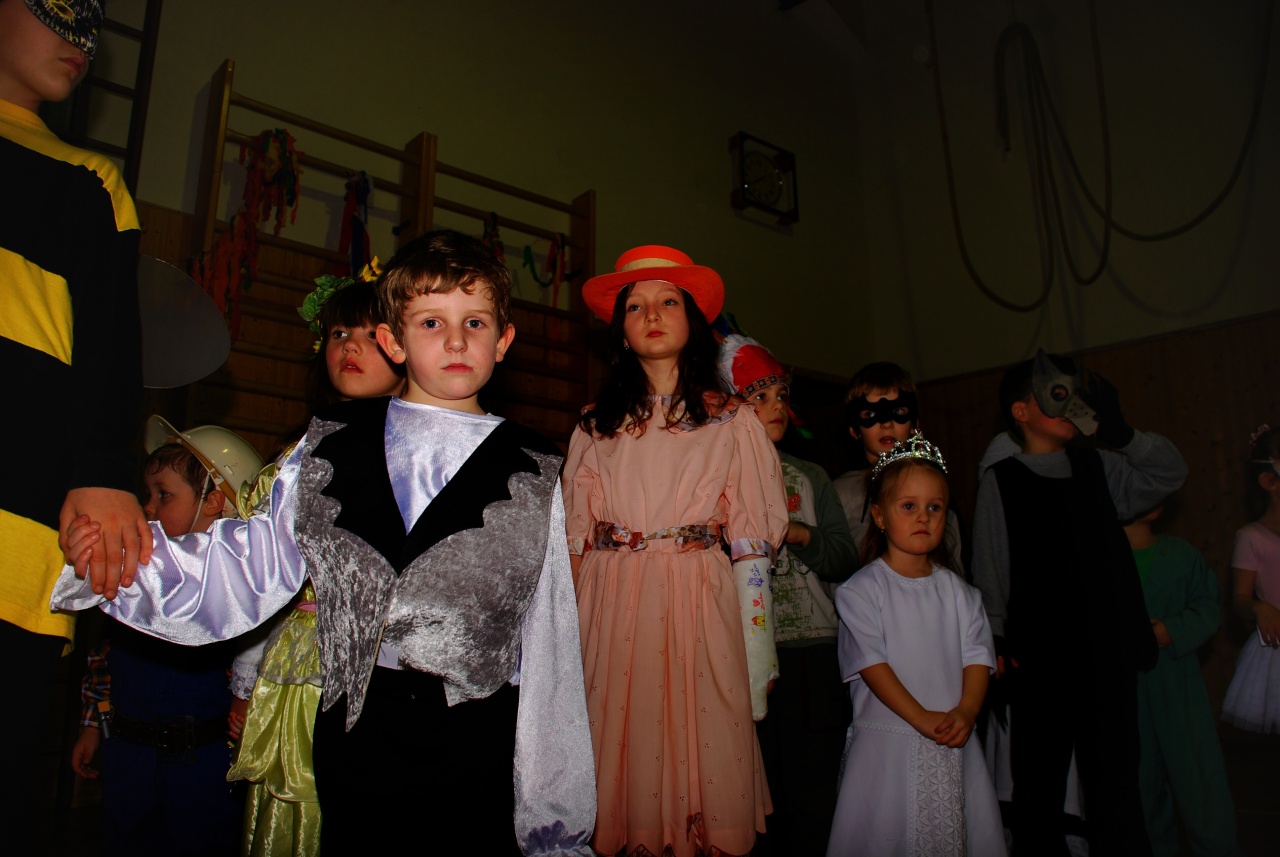 Sokolovna leden 2008 - karneval_9