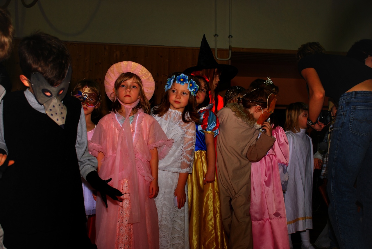Sokolovna leden 2008 - karneval_10