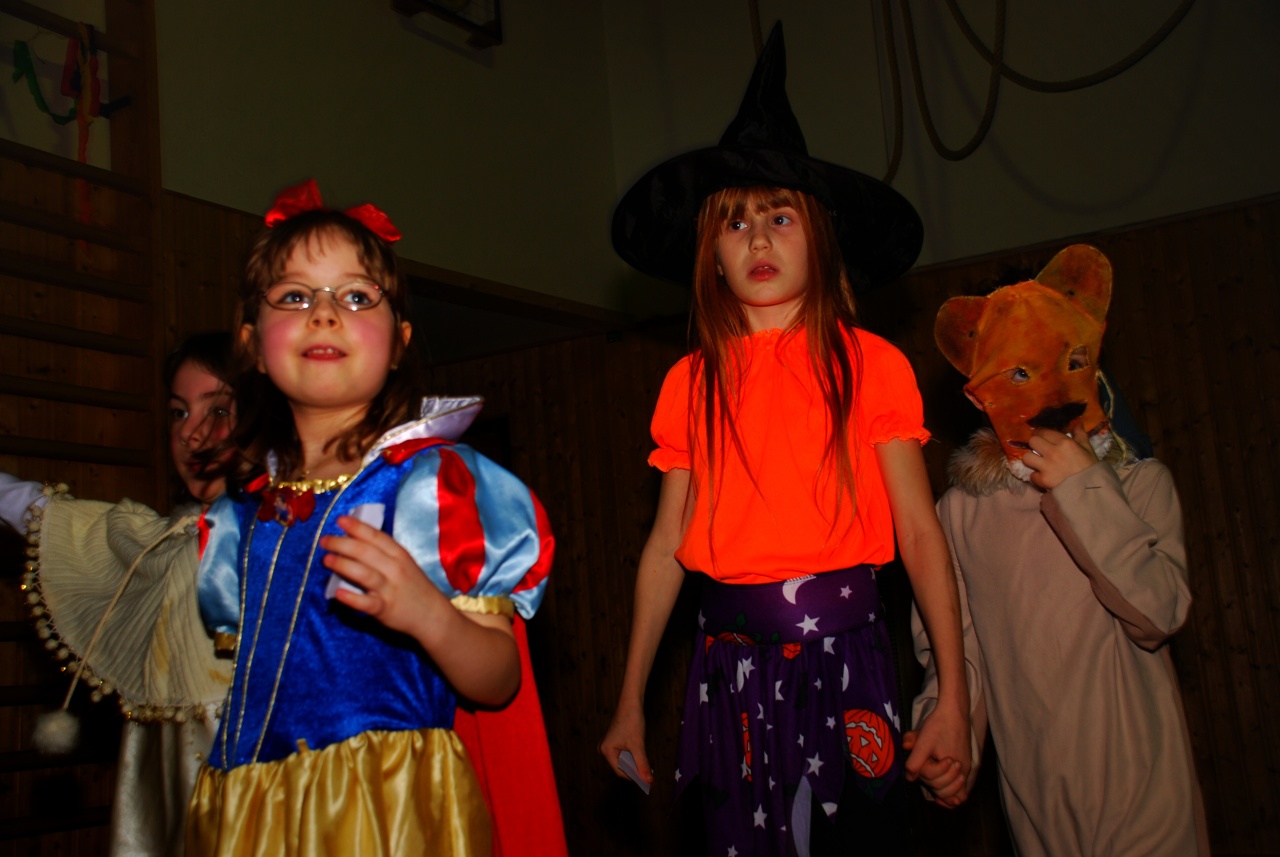 Sokolovna leden 2008 - karneval_11