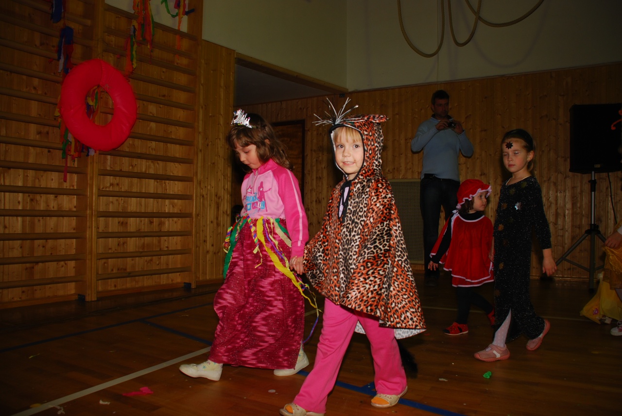 Sokolovna leden 2008 - karneval_12