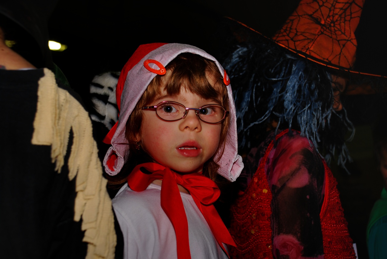 Sokolovna leden 2008 - karneval_13
