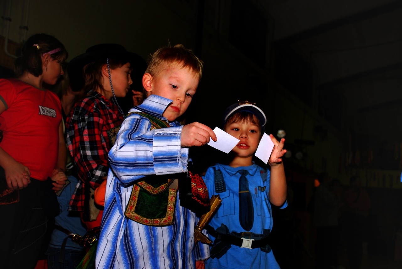 Sokolovna leden 2008 - karneval_14
