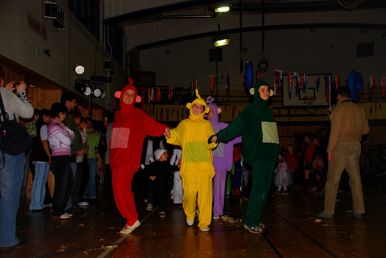 Sokolovna leden 2008 - karneval_15