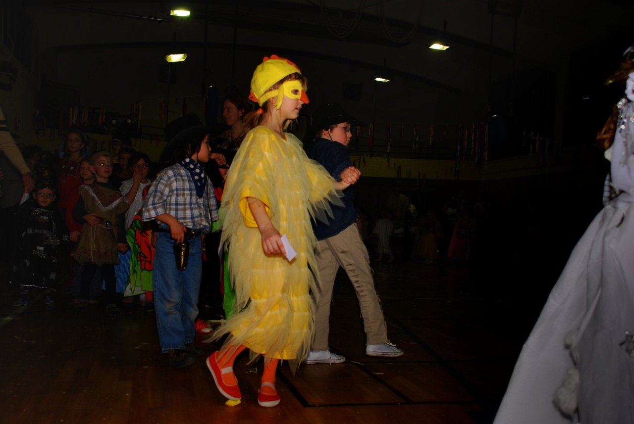 Sokolovna leden 2008 - karneval_16