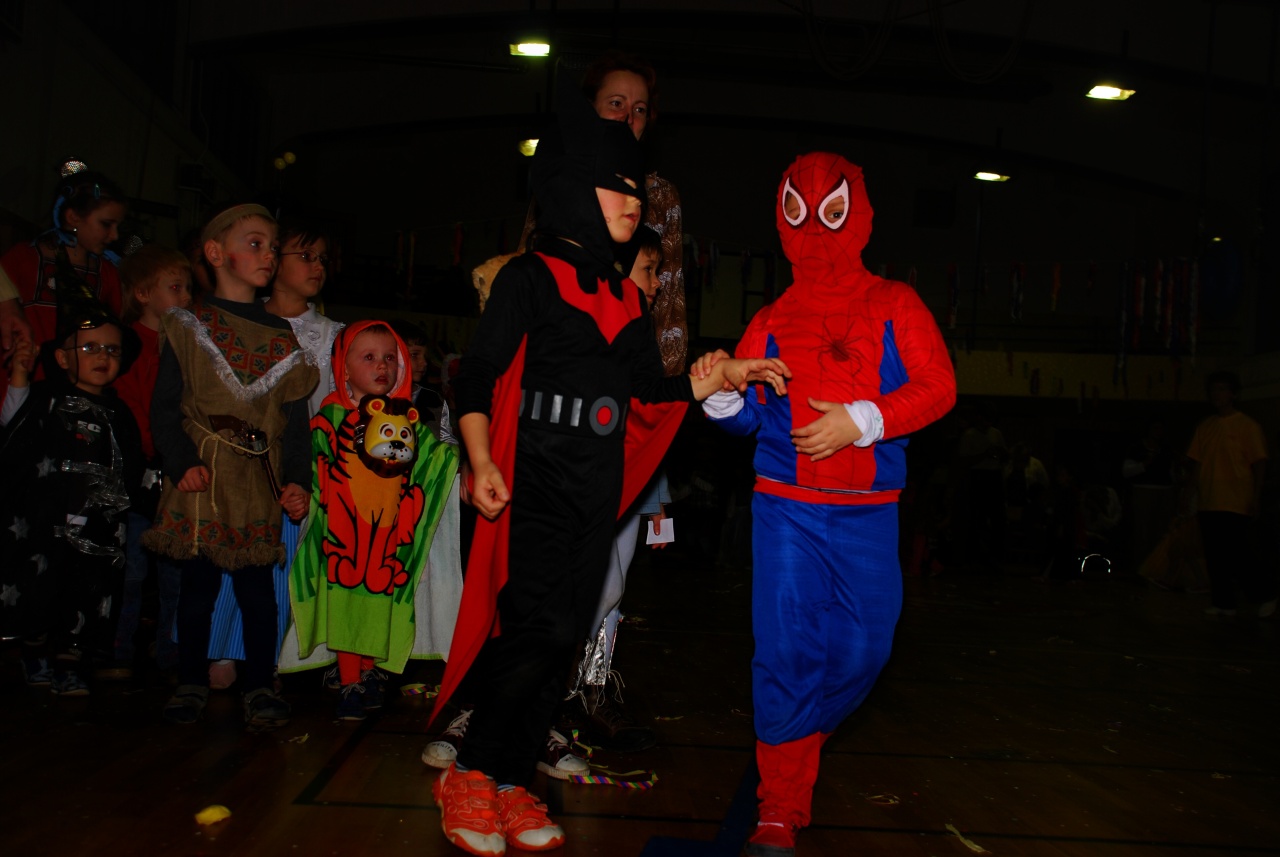 Sokolovna leden 2008 - karneval_17