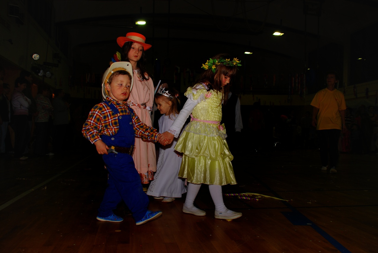 Sokolovna leden 2008 - karneval_18