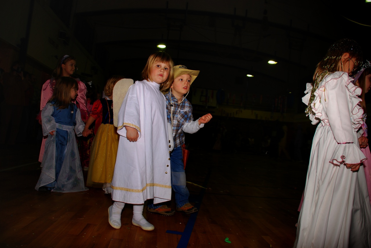Sokolovna leden 2008 - karneval_19