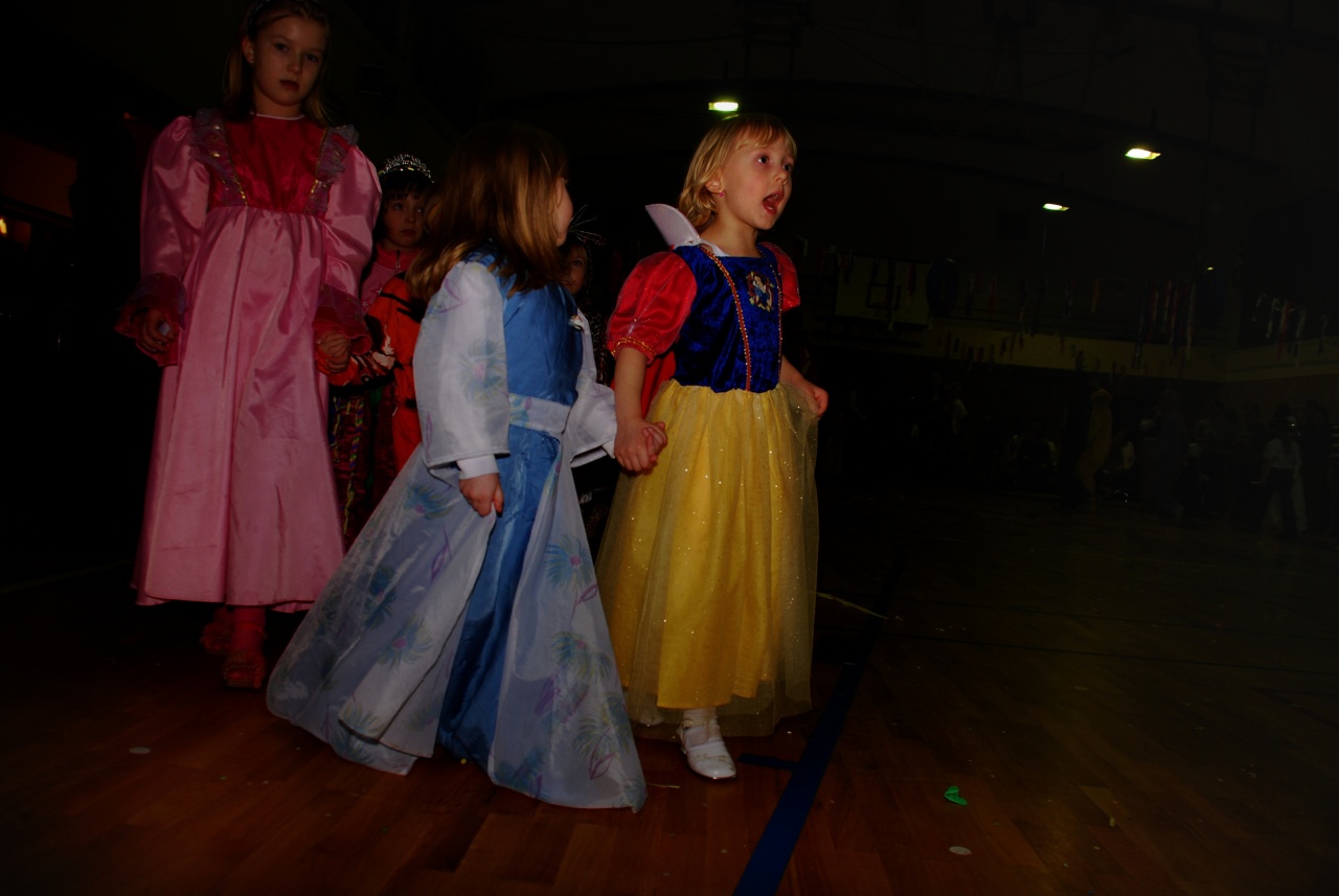 Sokolovna leden 2008 - karneval_20