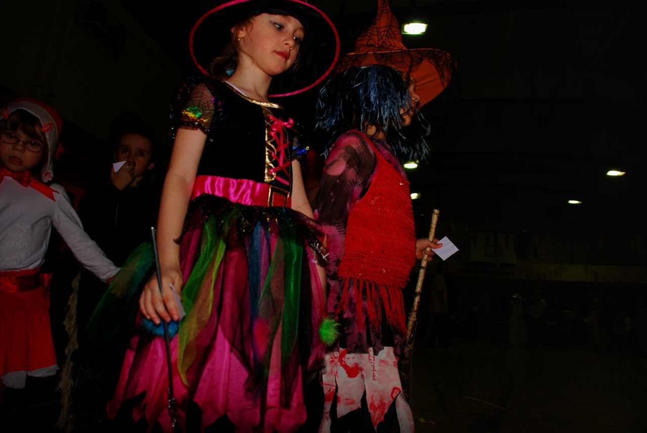 Sokolovna leden 2008 - karneval_21
