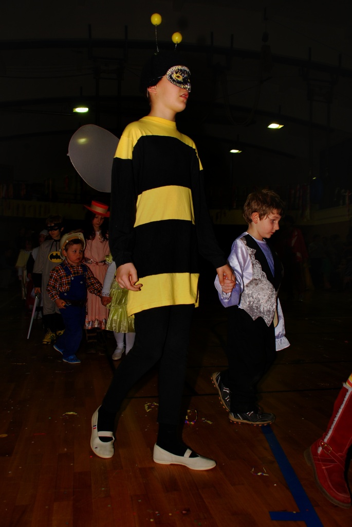 Sokolovna leden 2008 - karneval_22