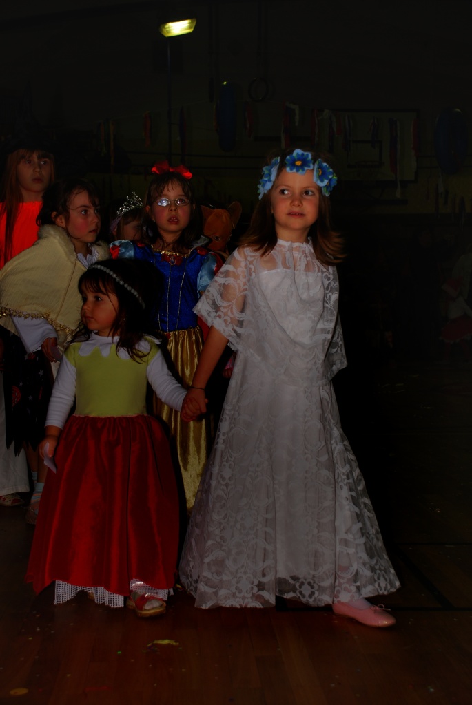 Sokolovna leden 2008 - karneval_23