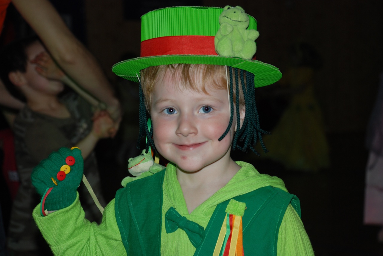 Sokolovna leden 2008 - karneval