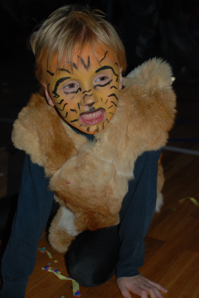 Sokolovna leden 2008 - karneval_2