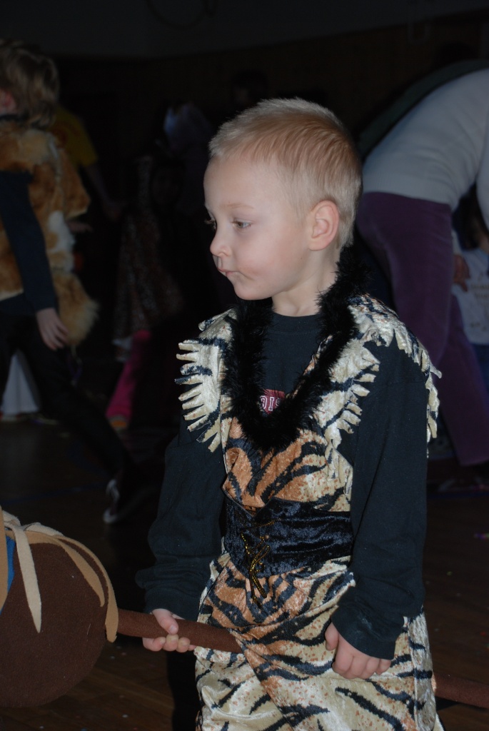 Sokolovna leden 2008 - karneval_3