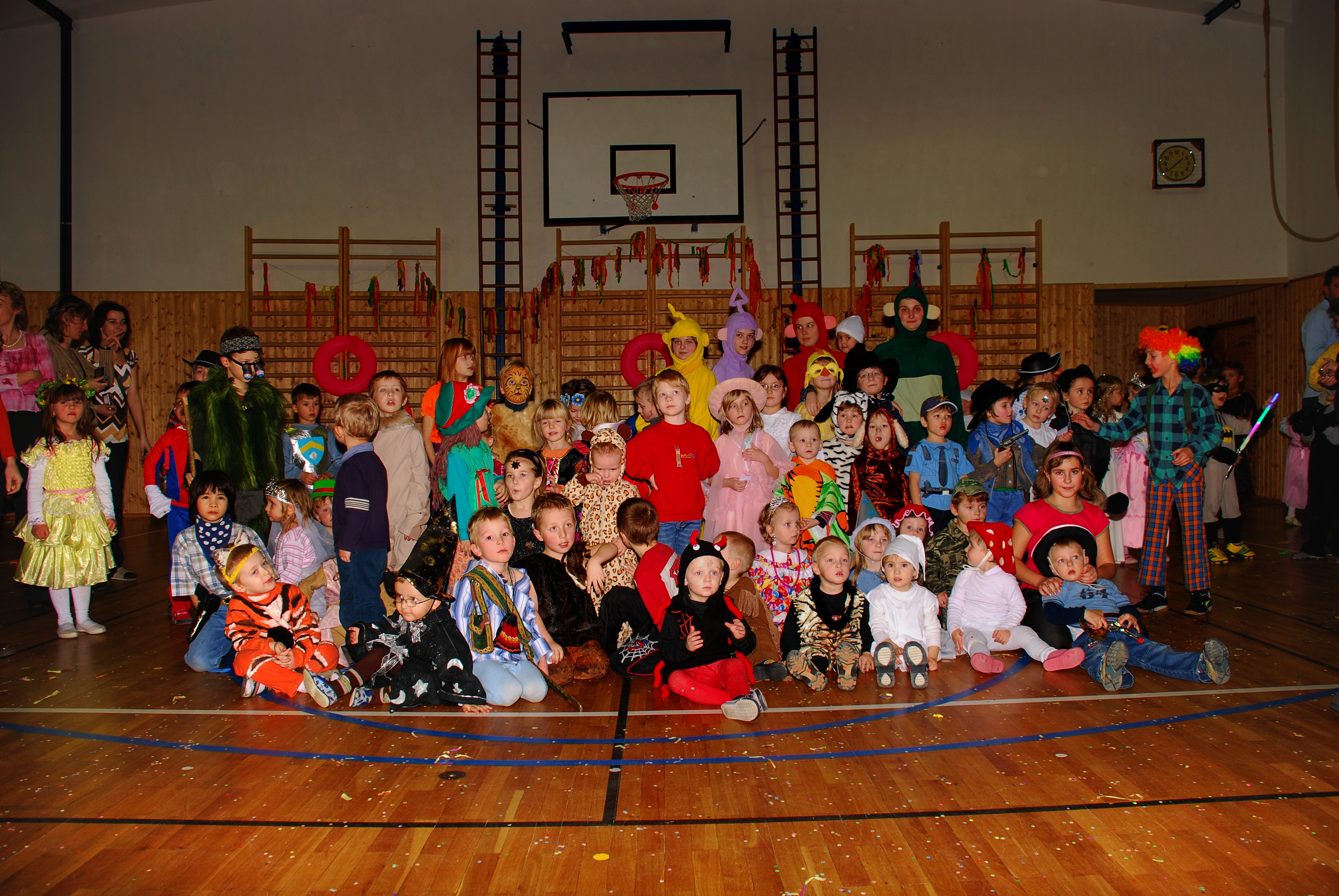 Sokolovna leden 2008 - karneval_4